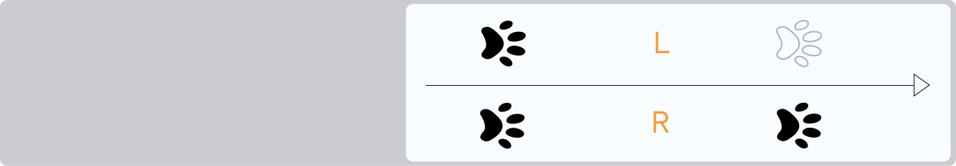 Walk行走步态足迹
