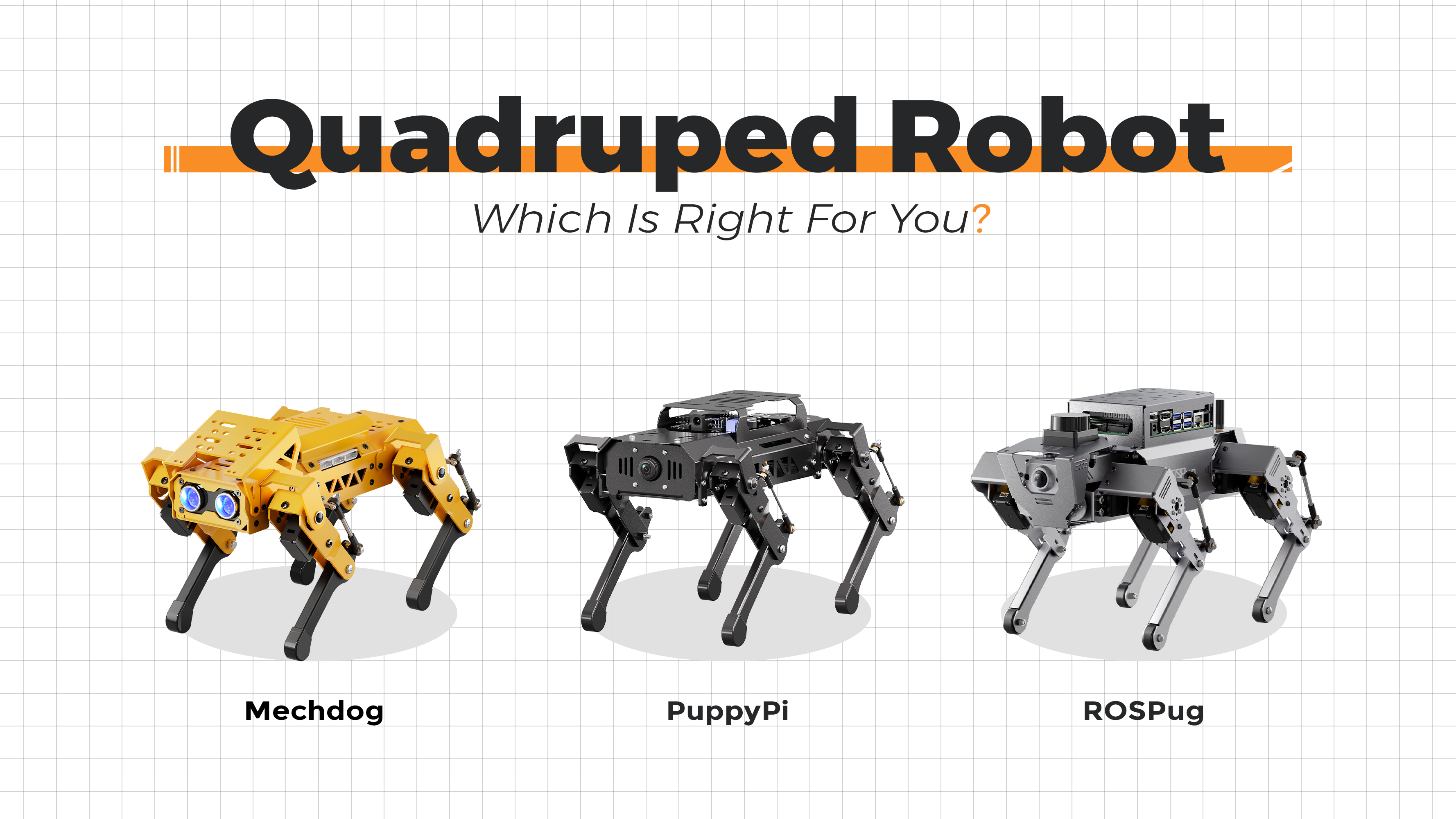 Quadruped robot selection guide