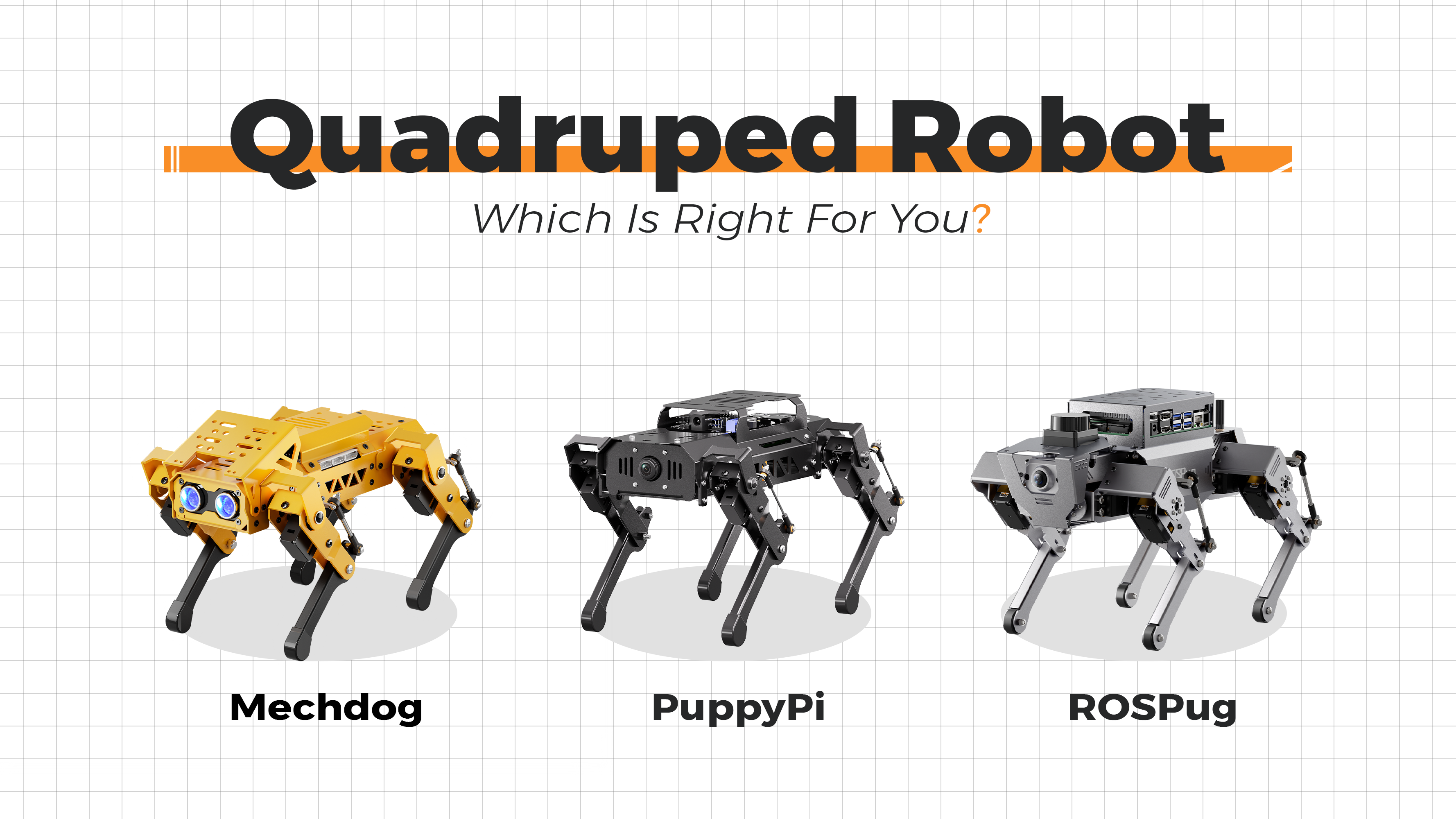 Quadruped robot selection guide
