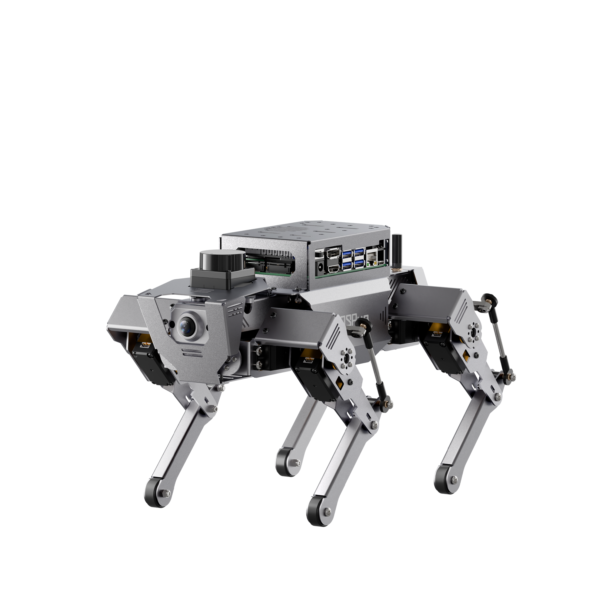 ROSPug